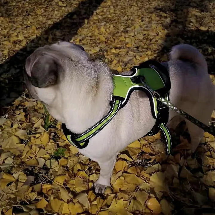 Dog Harness Breathable