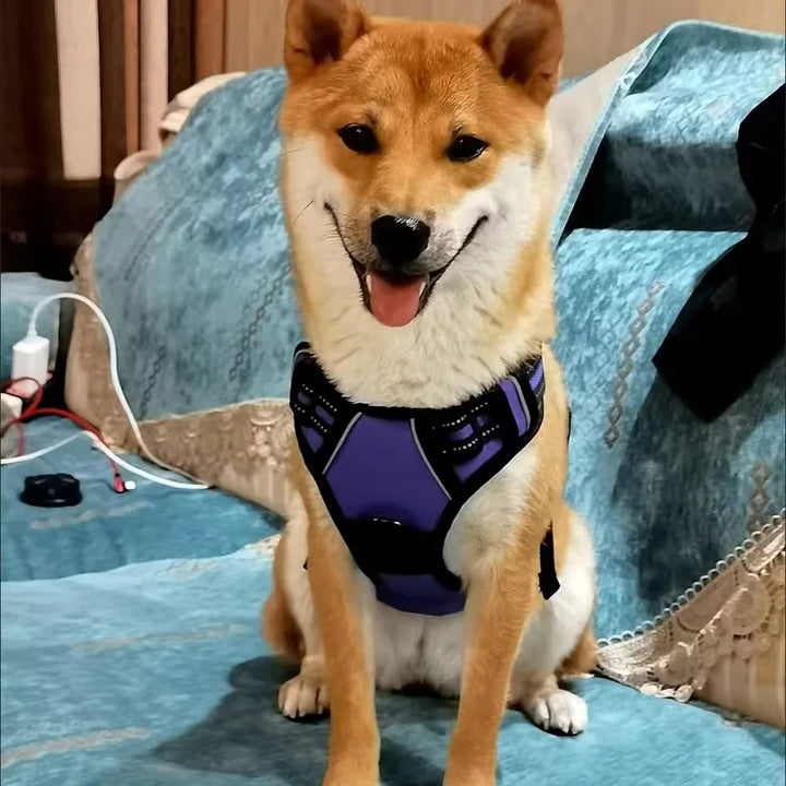 Dog Harness Breathable